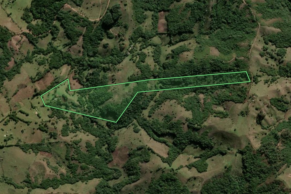 Imagem de satélite do imóvel rural em Santana da Boa Vista (RS), com o contorno declarado no CAR desenhado por cima.
