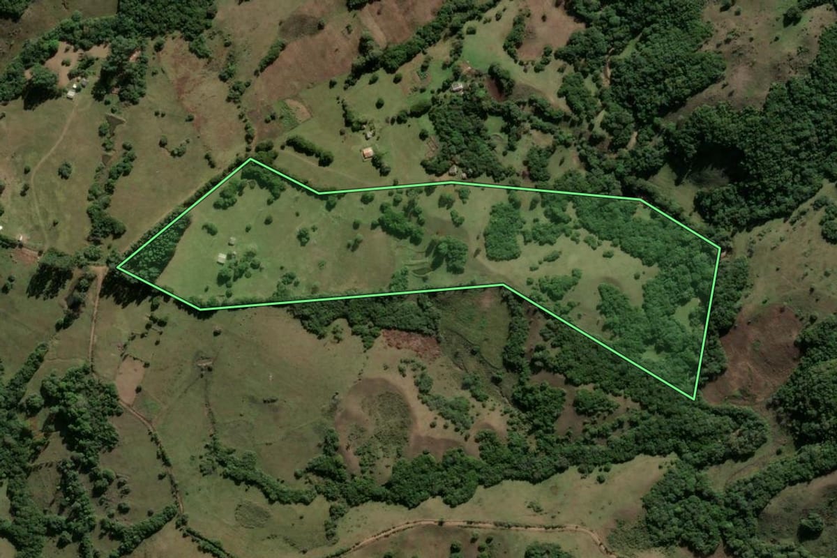 Imagem de satélite do imóvel rural em Santana da Boa Vista (RS), com o contorno declarado no CAR desenhado por cima.