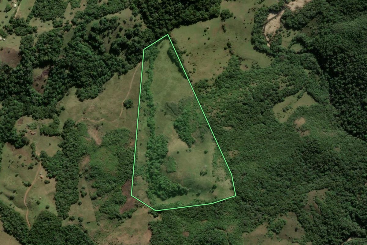 Imagem de satélite do imóvel rural em Santana da Boa Vista (RS), com o contorno declarado no CAR desenhado por cima.