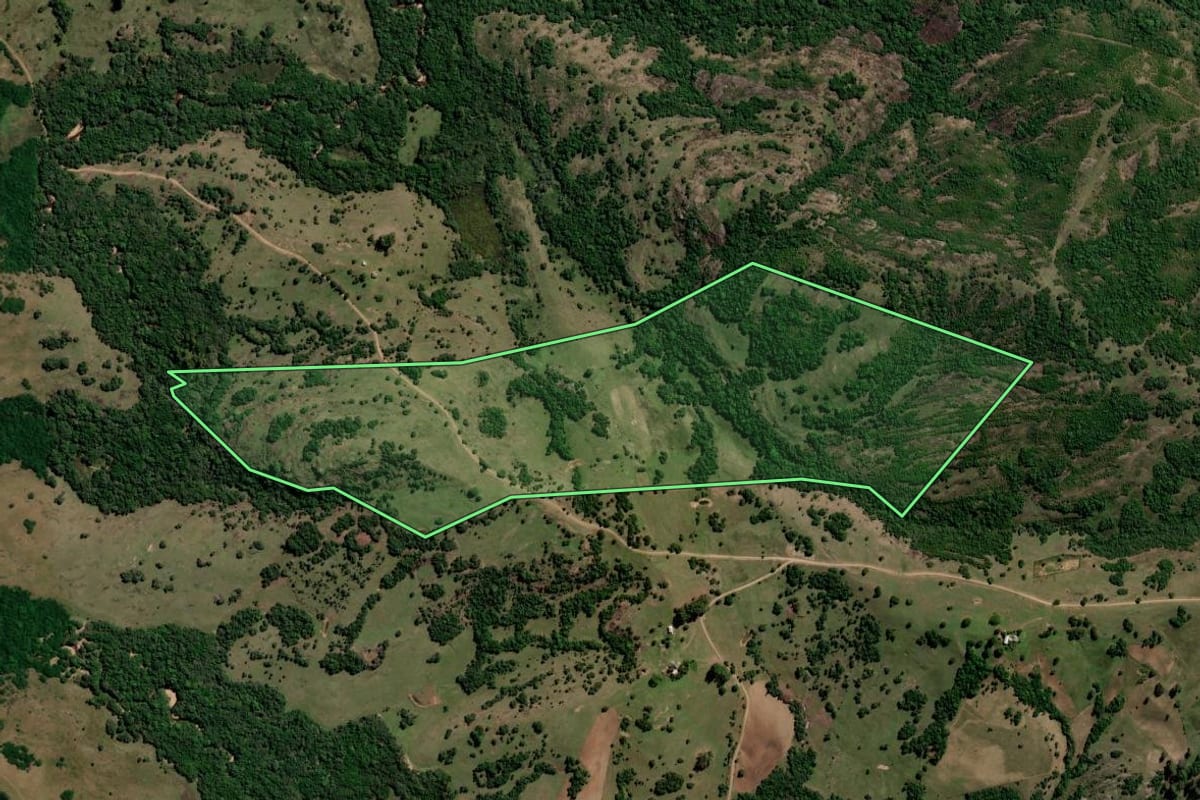 Imagem de satélite do imóvel rural em Santana da Boa Vista (RS), com o contorno declarado no CAR desenhado por cima.