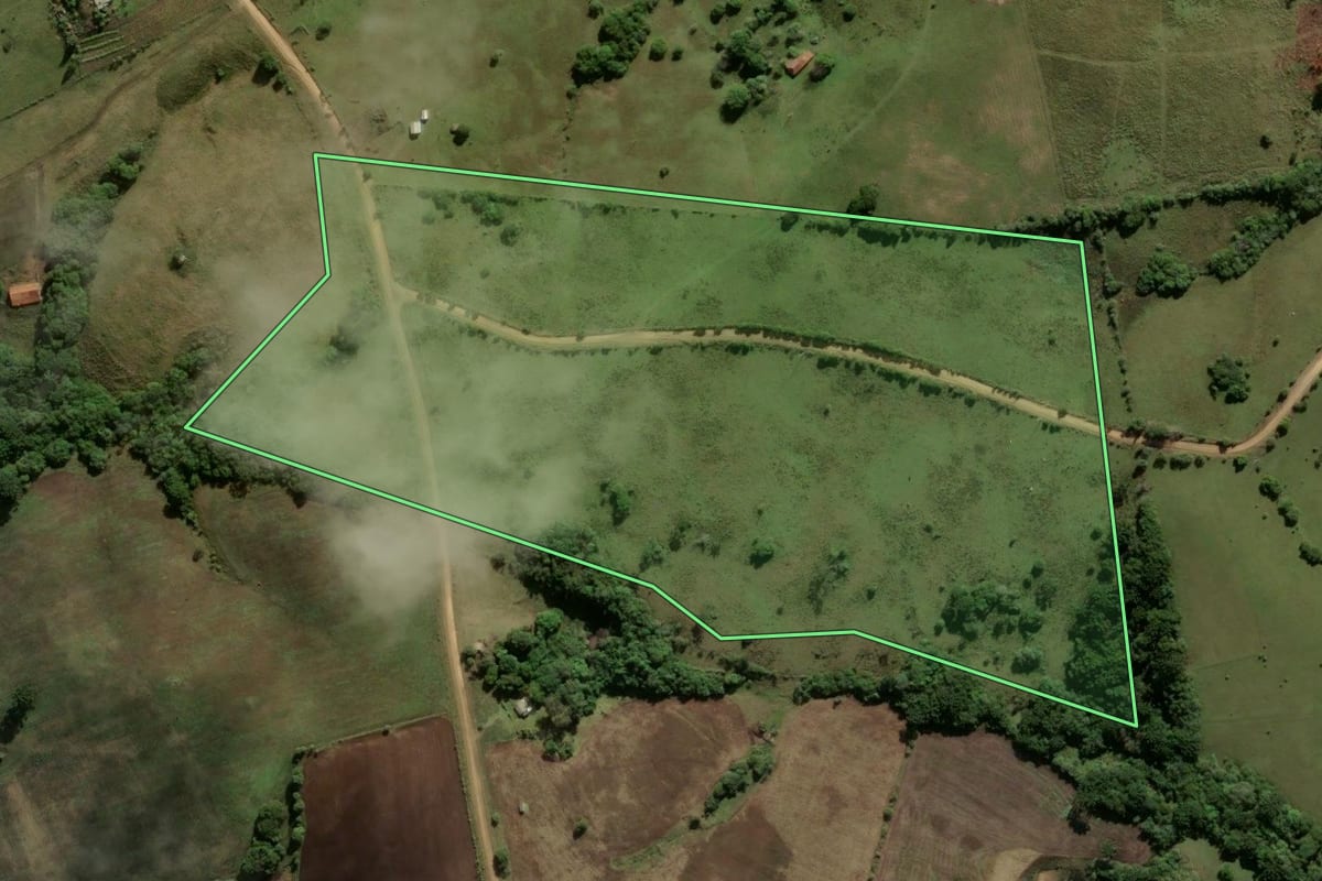 Imagem de satélite do imóvel rural em Santana da Boa Vista (RS), com o contorno declarado no CAR desenhado por cima.