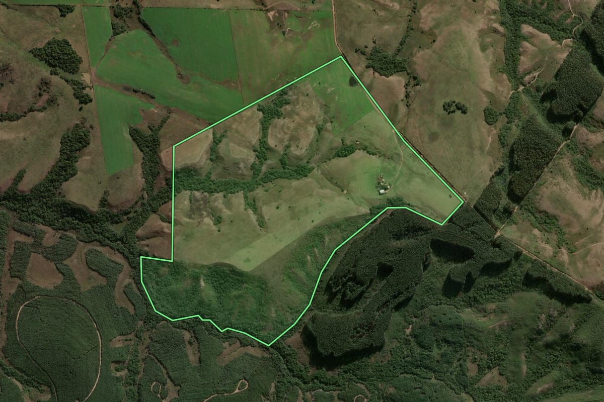 Imagem de satélite do imóvel rural em Santana da Boa Vista (RS), com o contorno declarado no CAR desenhado por cima.