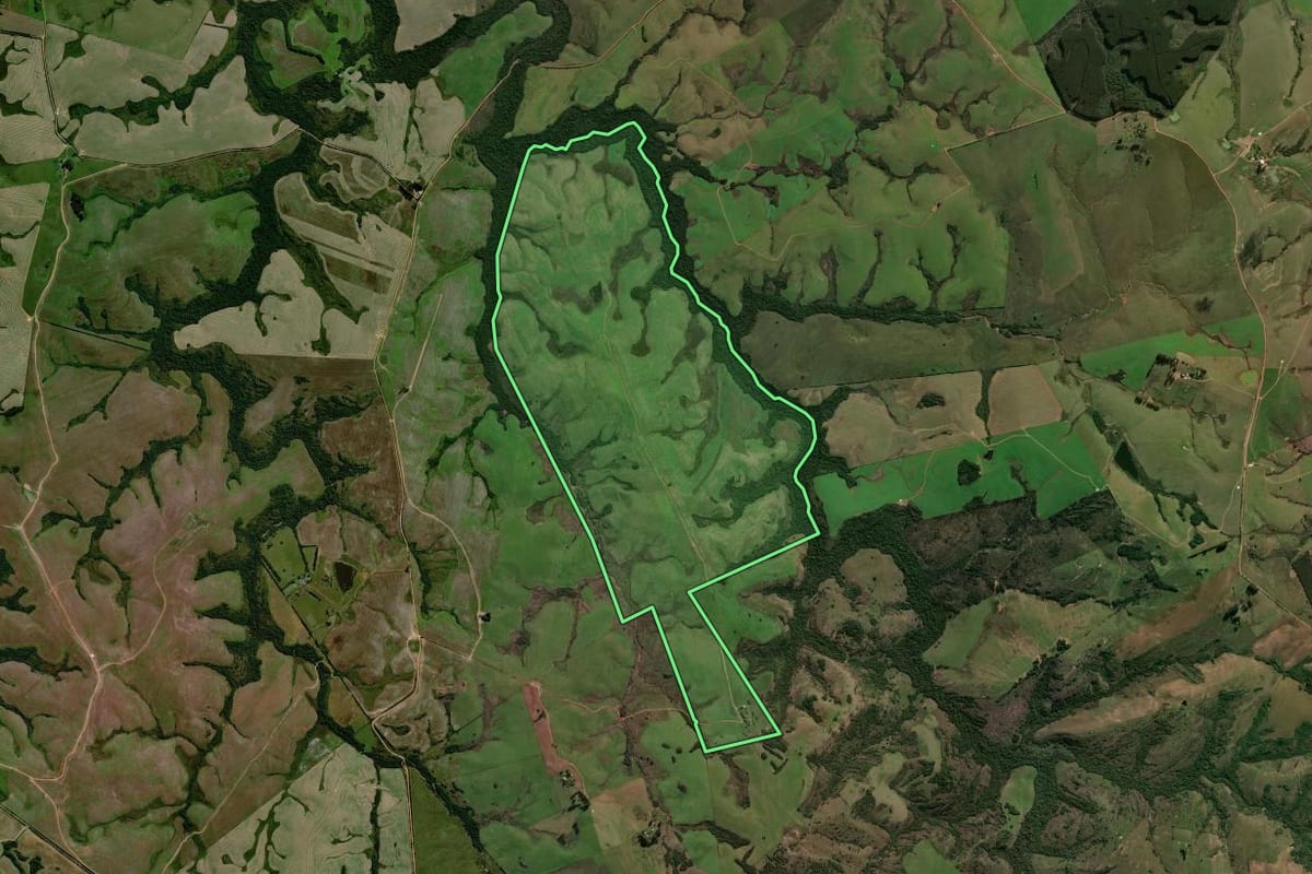 Imagem de satélite do imóvel rural em Santana da Boa Vista (RS), com o contorno declarado no CAR desenhado por cima.
