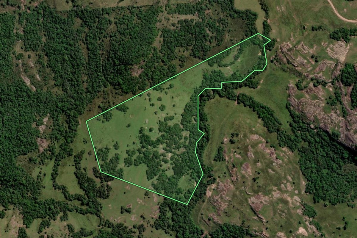 Imagem de satélite do imóvel rural em Santana da Boa Vista (RS), com o contorno declarado no CAR desenhado por cima.