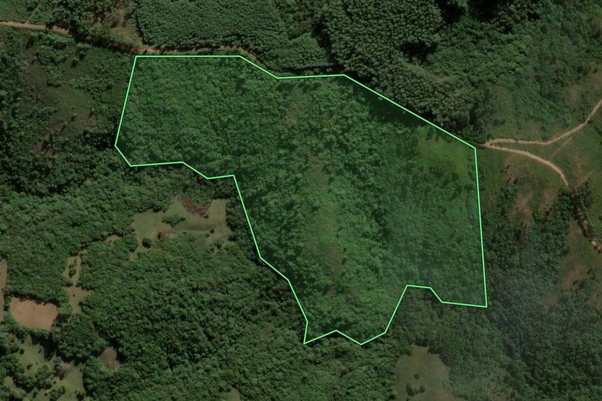 Imagem de satélite do imóvel rural em Santana da Boa Vista (RS), com o contorno declarado no CAR desenhado por cima.