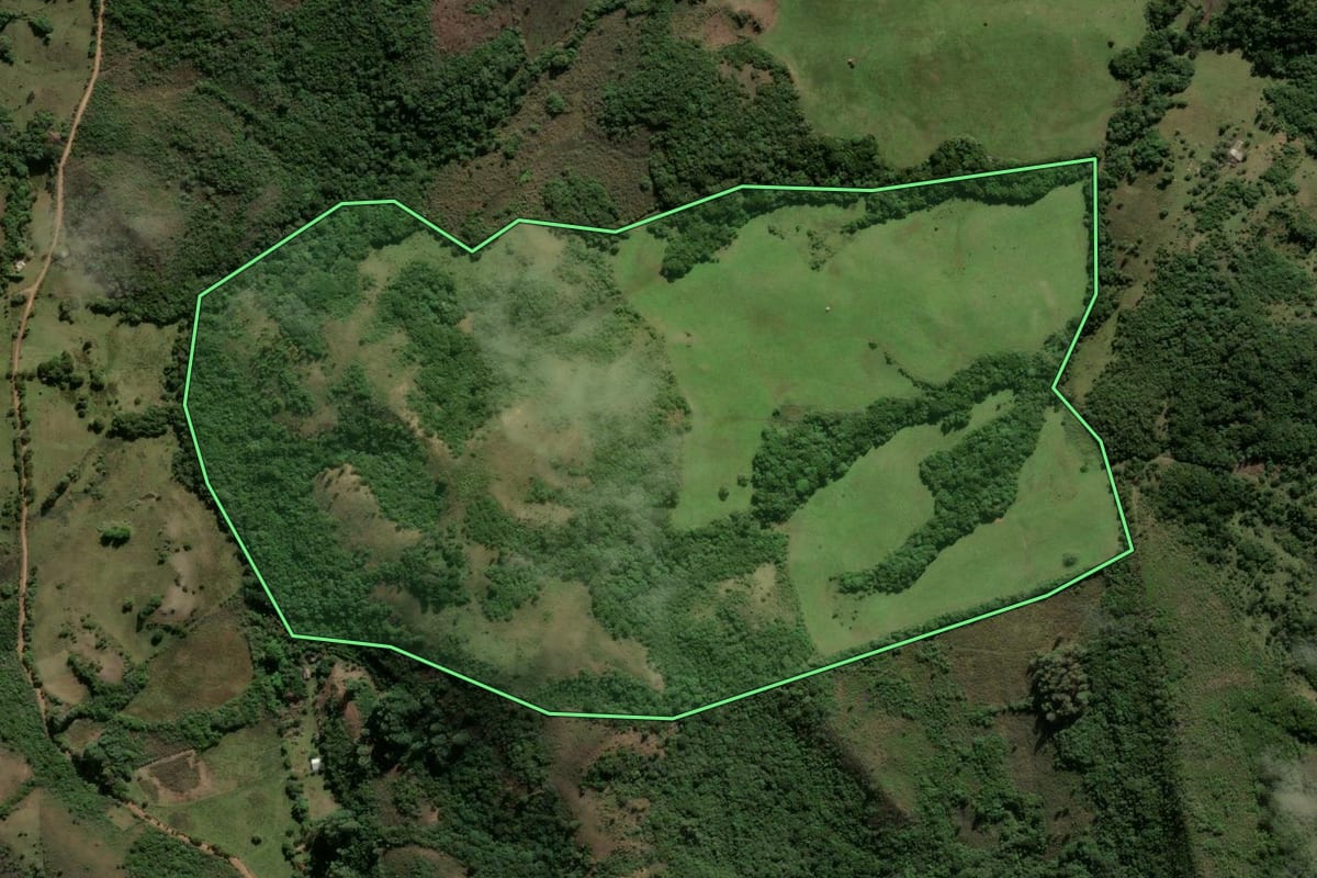 Imagem de satélite do imóvel rural em Santana da Boa Vista (RS), com o contorno declarado no CAR desenhado por cima.