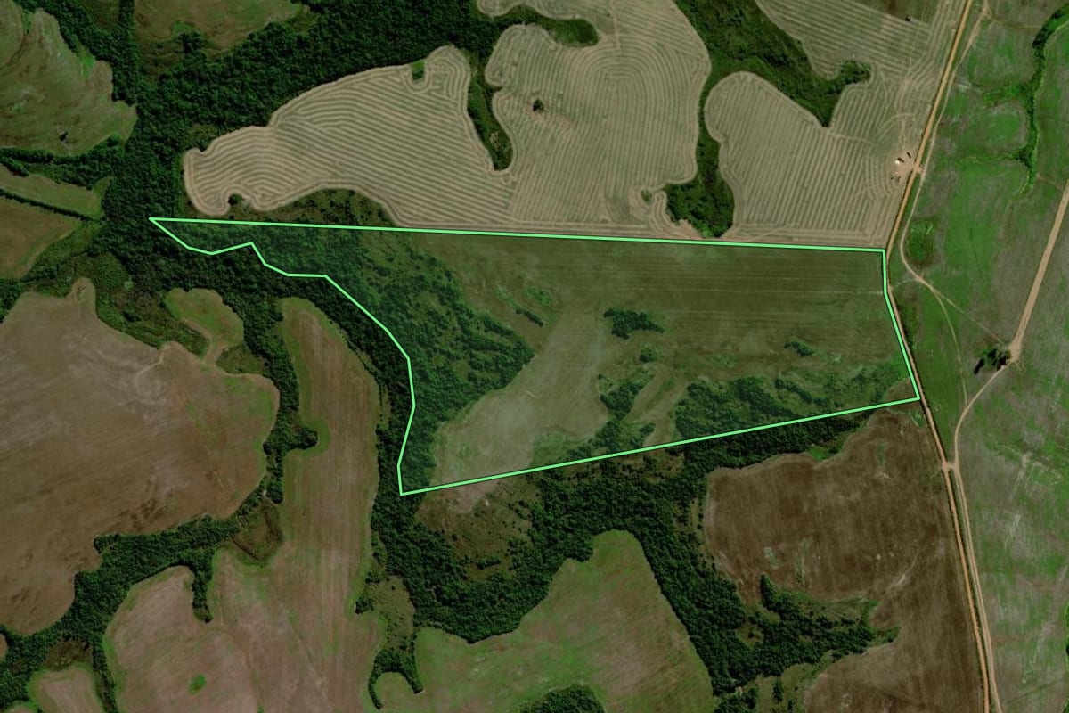 Imagem de satélite do imóvel rural em Santana da Boa Vista (RS), com o contorno declarado no CAR desenhado por cima.