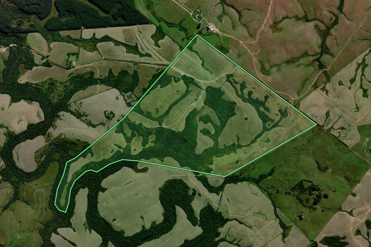 Imagem de satélite do imóvel rural em Santana da Boa Vista (RS), com o contorno declarado no CAR desenhado por cima.