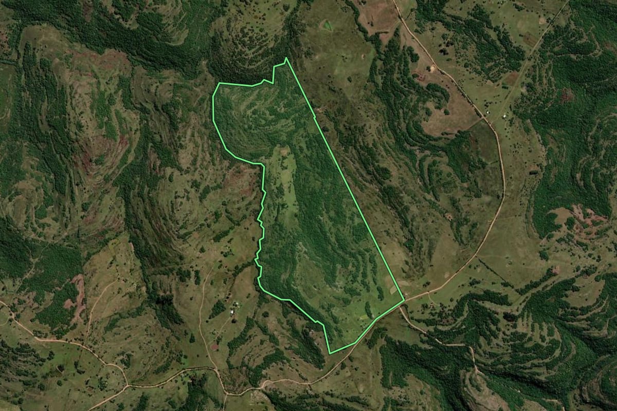 Imagem de satélite do imóvel rural em Santana da Boa Vista (RS), com o contorno declarado no CAR desenhado por cima.