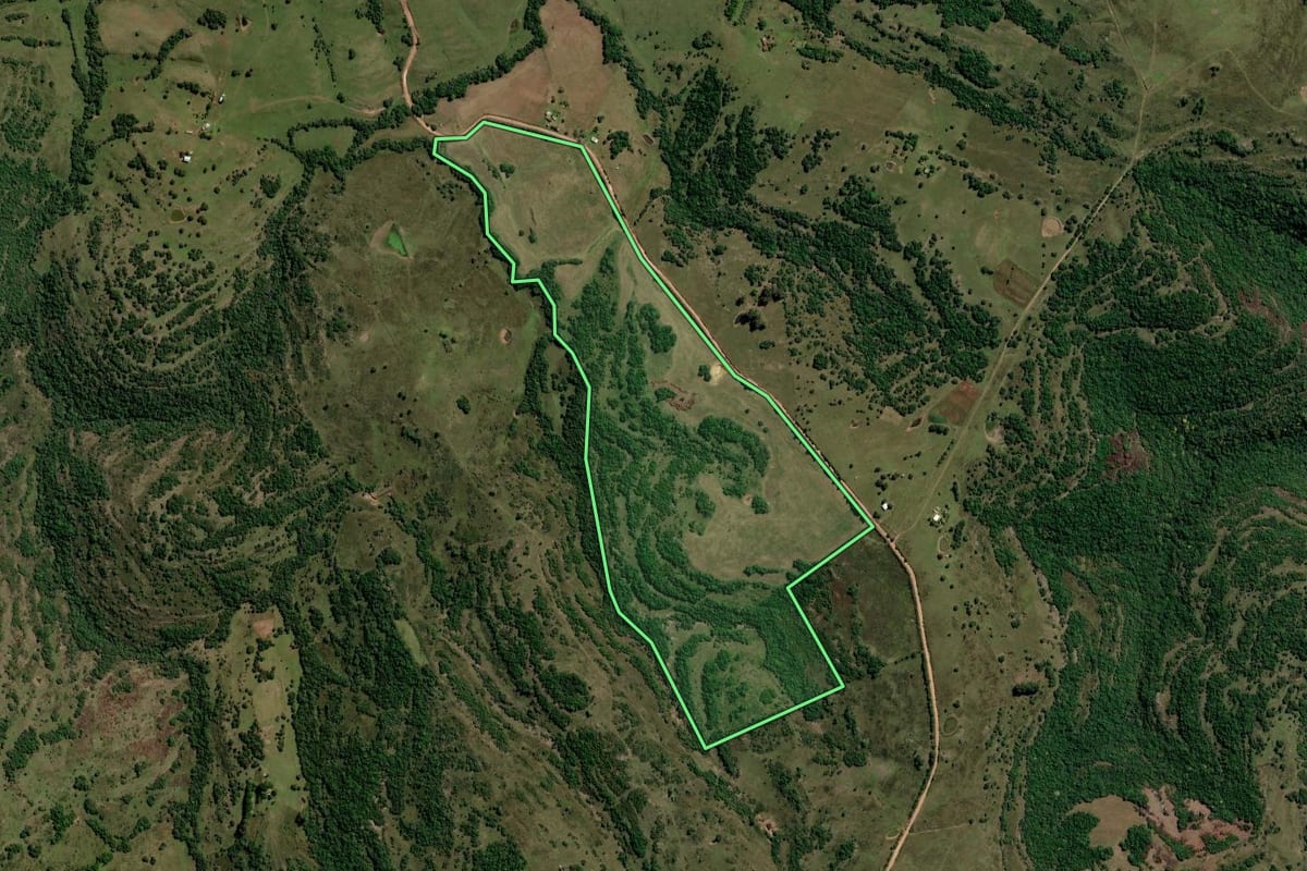 Imagem de satélite do imóvel rural em Santana da Boa Vista (RS), com o contorno declarado no CAR desenhado por cima.