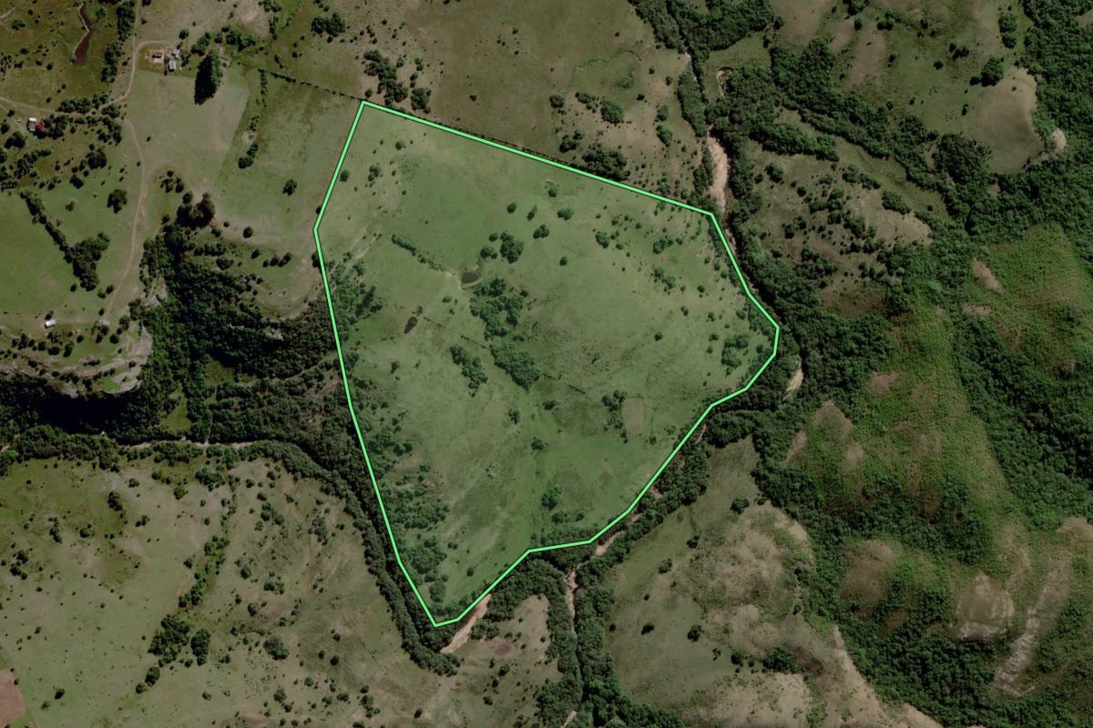 Imagem de satélite do imóvel rural em Santana da Boa Vista (RS), com o contorno declarado no CAR desenhado por cima.