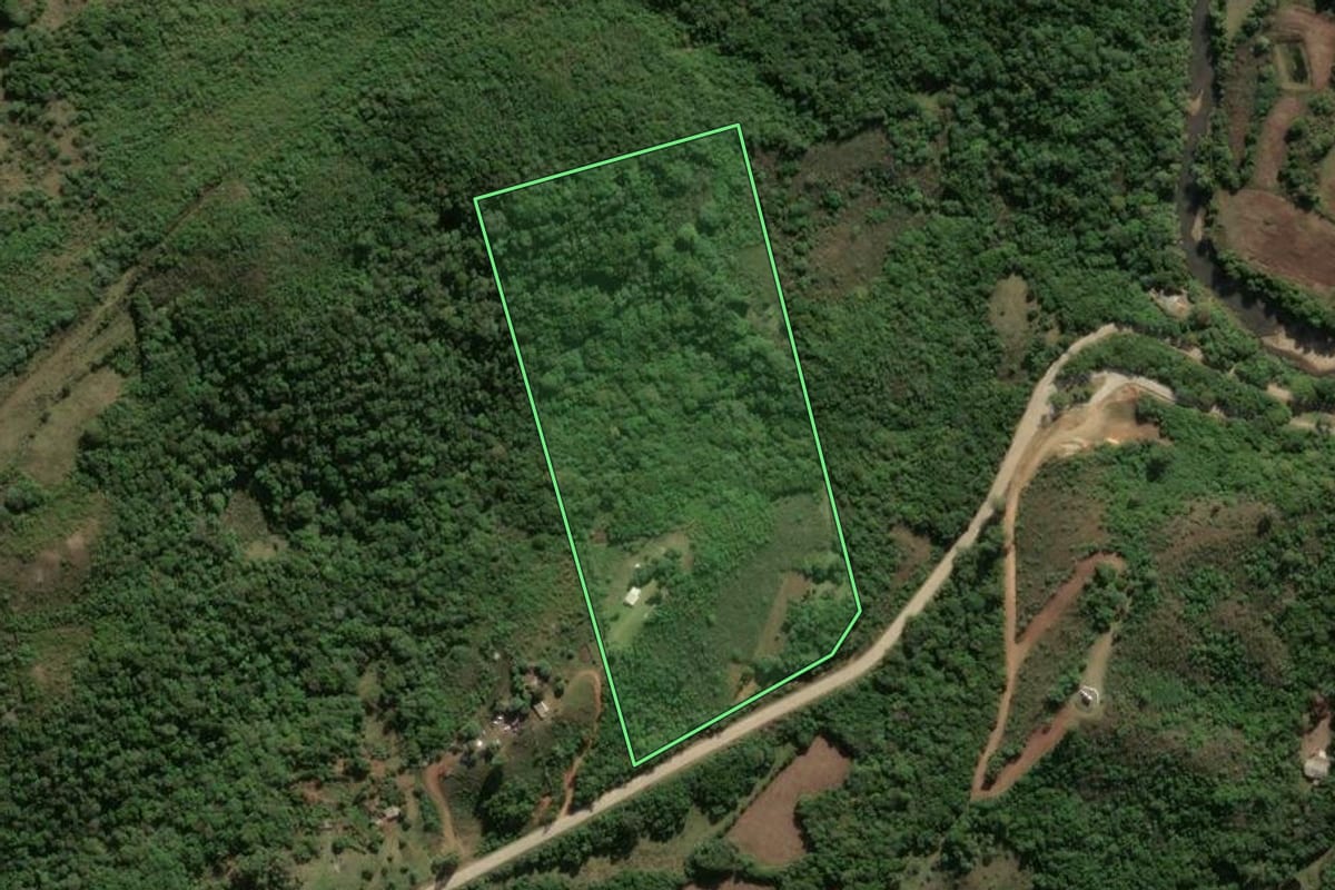 Imagem de satélite do imóvel rural em Santana da Boa Vista (RS), com o contorno declarado no CAR desenhado por cima.