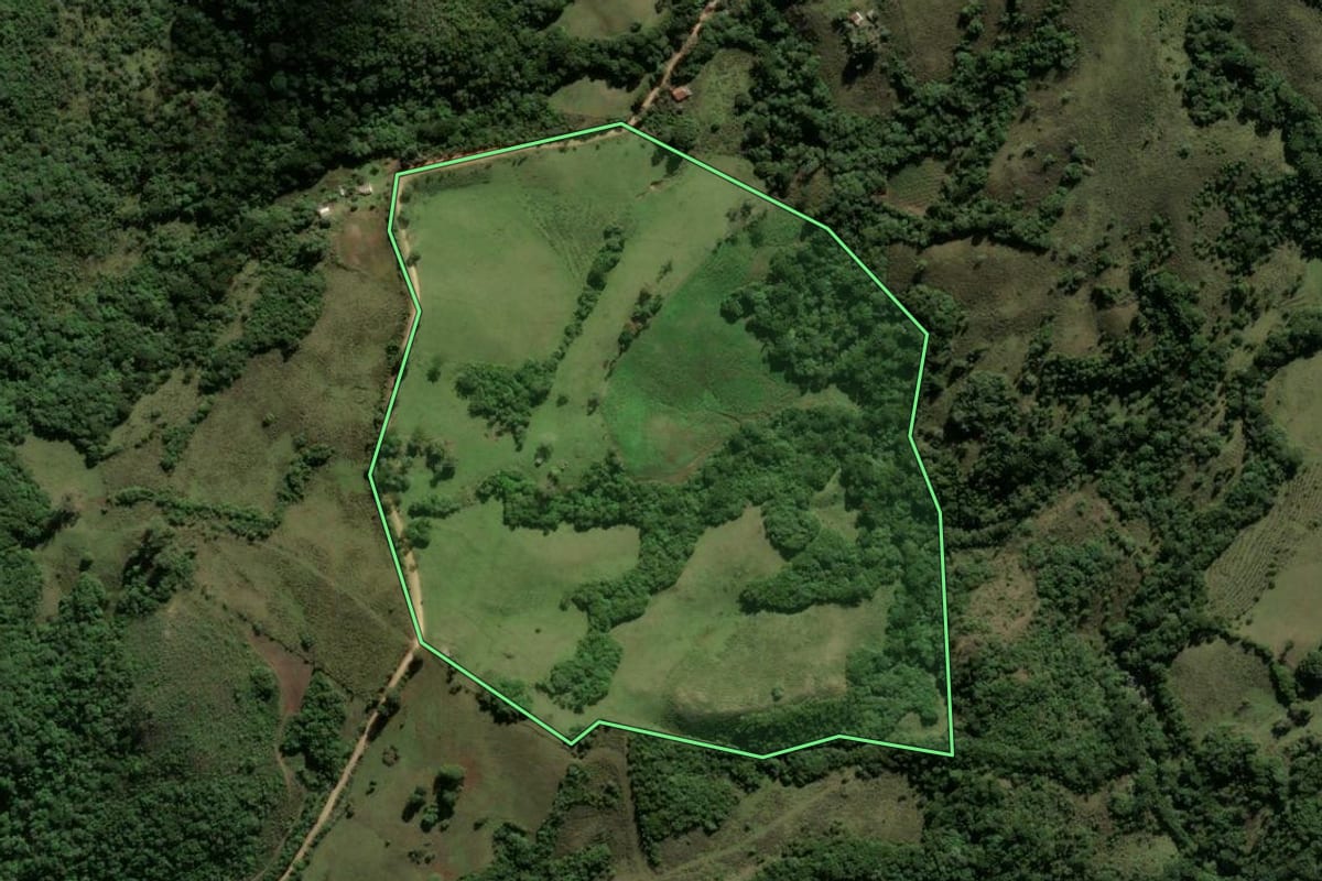 Imagem de satélite do imóvel rural em Santana da Boa Vista (RS), com o contorno declarado no CAR desenhado por cima.