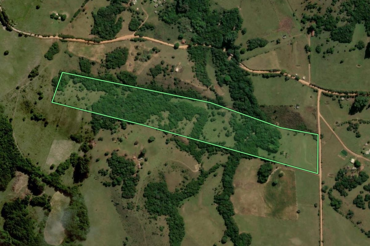 Imagem de satélite do imóvel rural em Santana da Boa Vista (RS), com o contorno declarado no CAR desenhado por cima.