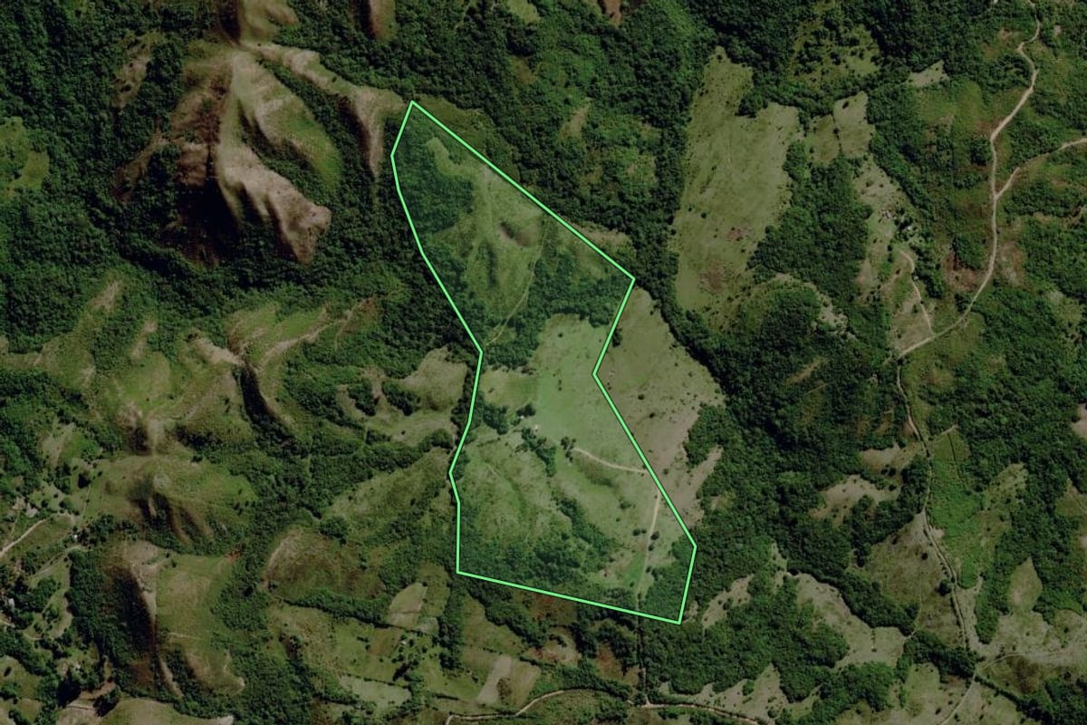 Imagem de satélite do imóvel rural em Santana da Boa Vista (RS), com o contorno declarado no CAR desenhado por cima.