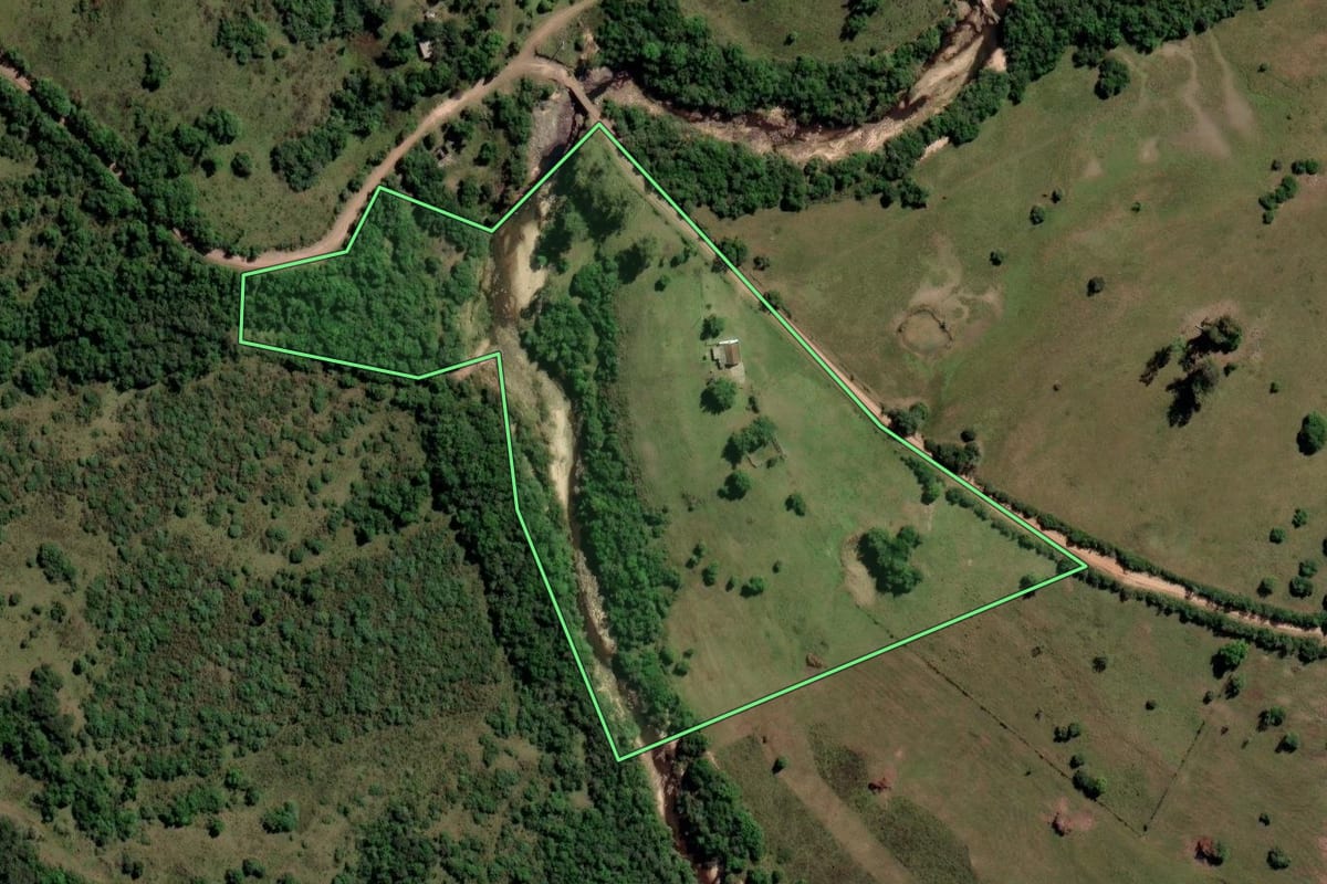 Imagem de satélite do imóvel rural em Santana da Boa Vista (RS), com o contorno declarado no CAR desenhado por cima.