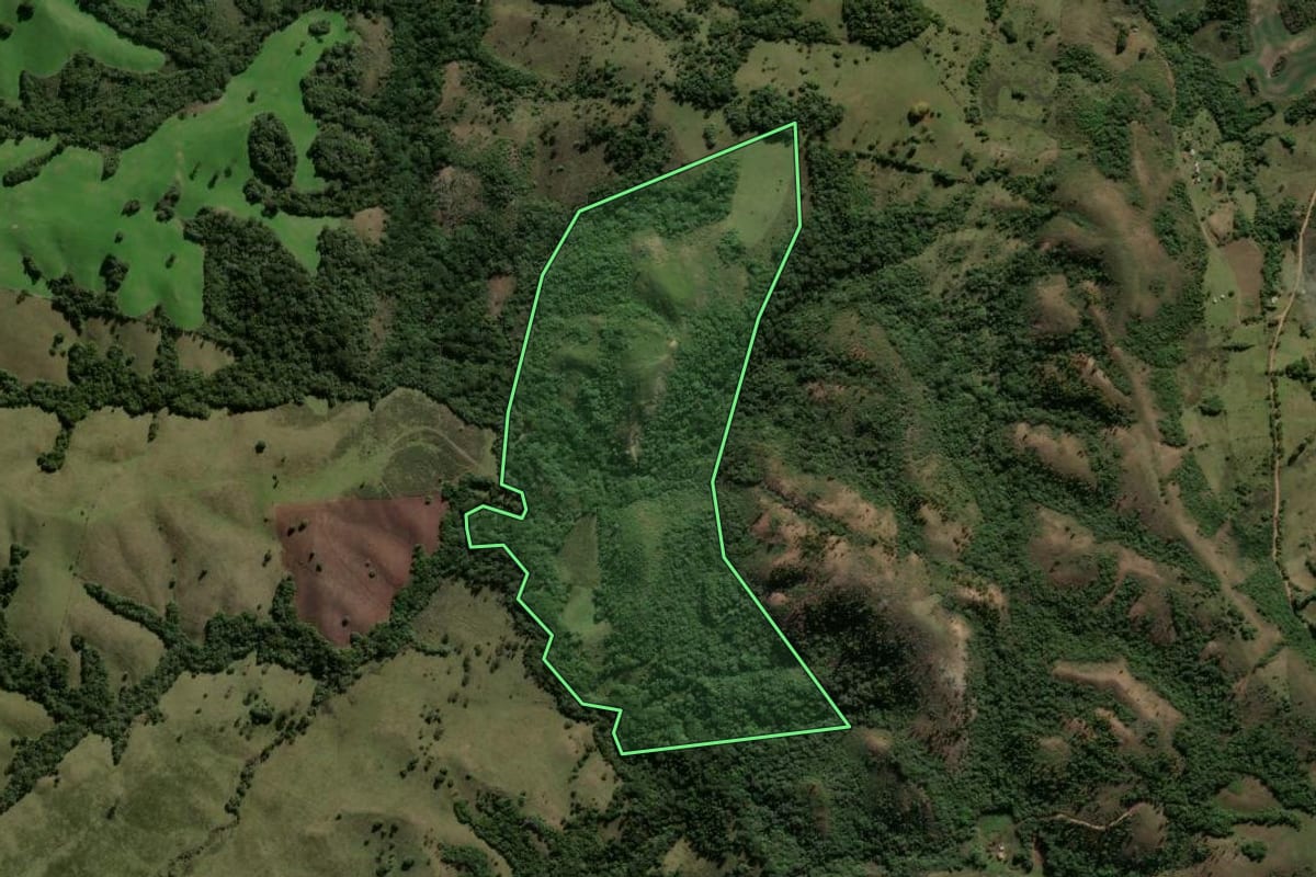 Imagem de satélite do imóvel rural em Santana da Boa Vista (RS), com o contorno declarado no CAR desenhado por cima.