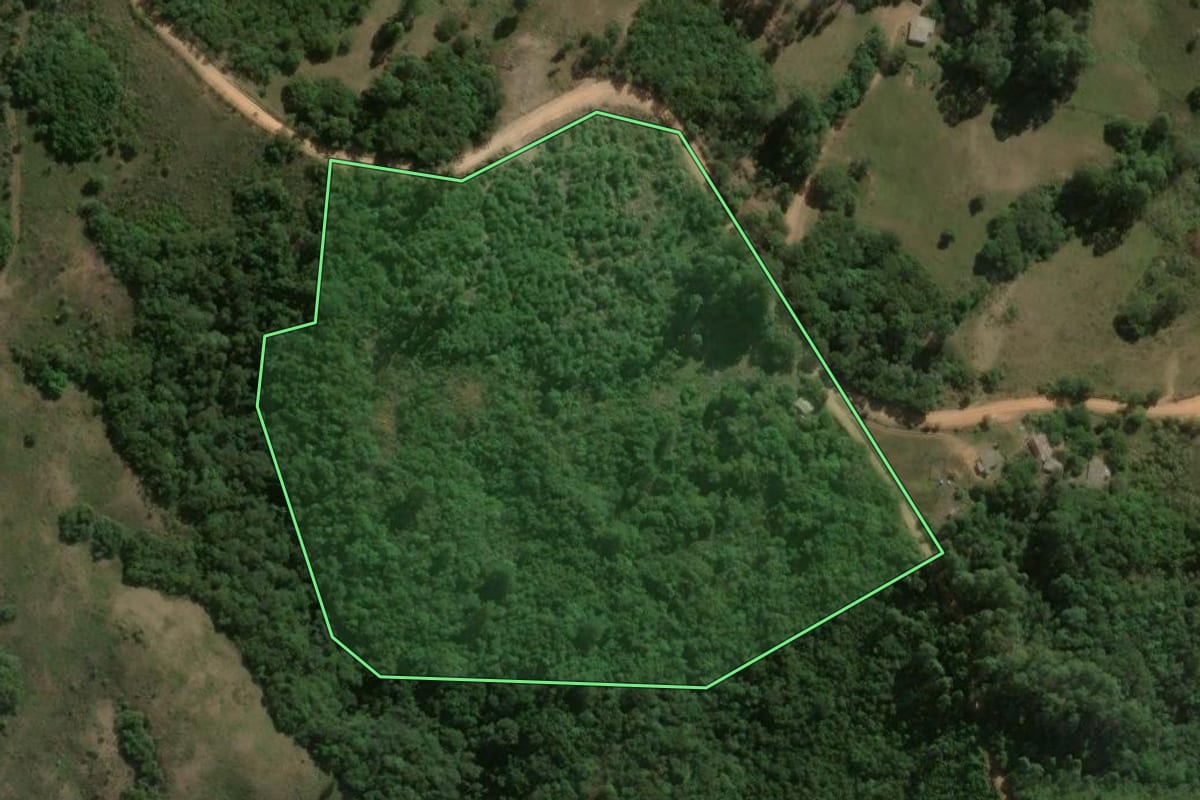 Imagem de satélite do imóvel rural em Santana da Boa Vista (RS), com o contorno declarado no CAR desenhado por cima.