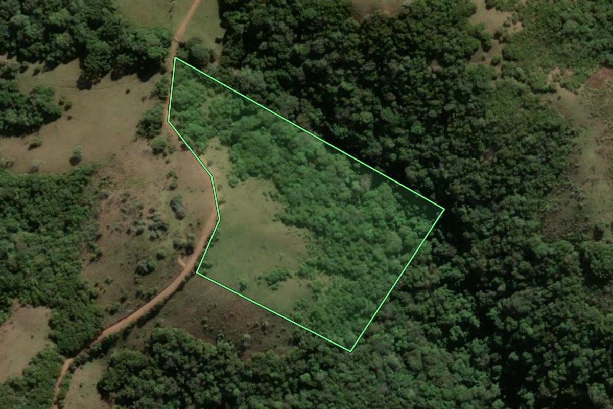 Imagem de satélite do imóvel rural em Santana da Boa Vista (RS), com o contorno declarado no CAR desenhado por cima.