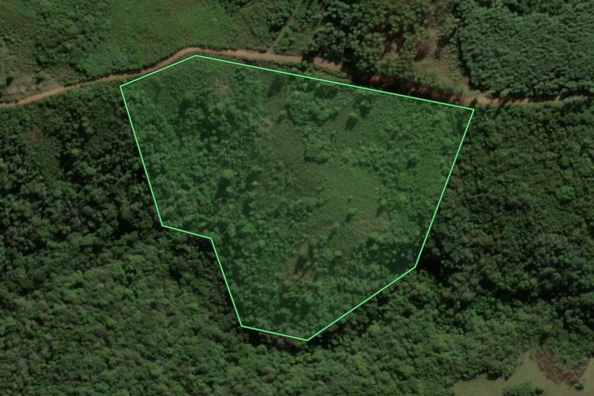 Imagem de satélite do imóvel rural em Santana da Boa Vista (RS), com o contorno declarado no CAR desenhado por cima.