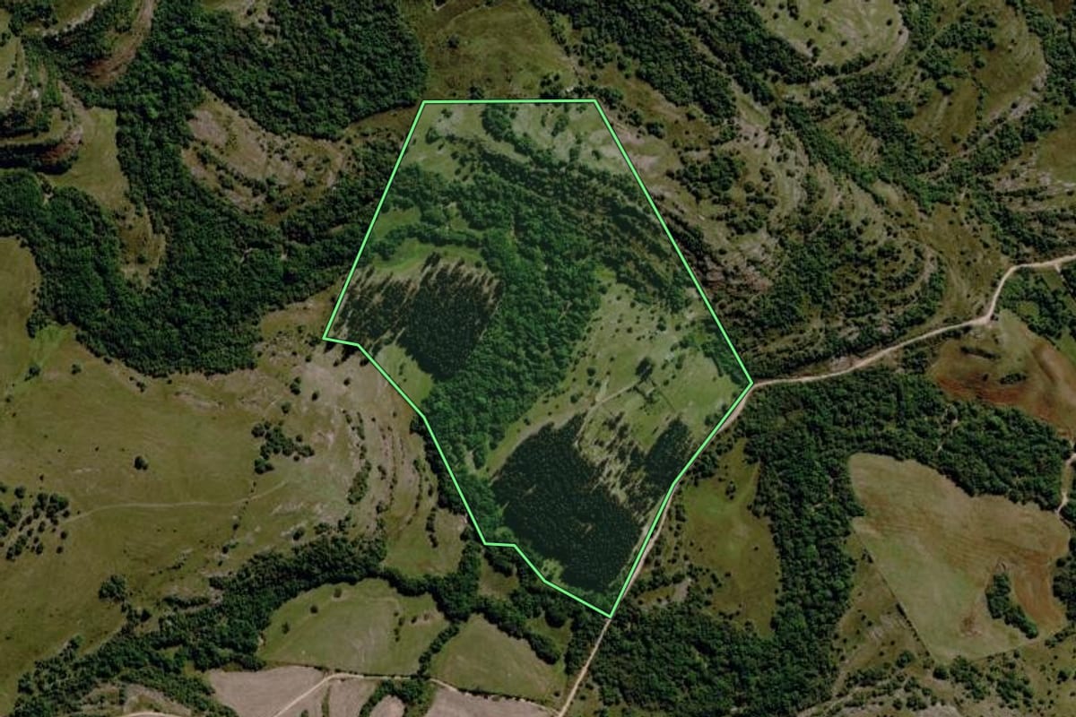 Imagem de satélite do imóvel rural em Santana da Boa Vista (RS), com o contorno declarado no CAR desenhado por cima.
