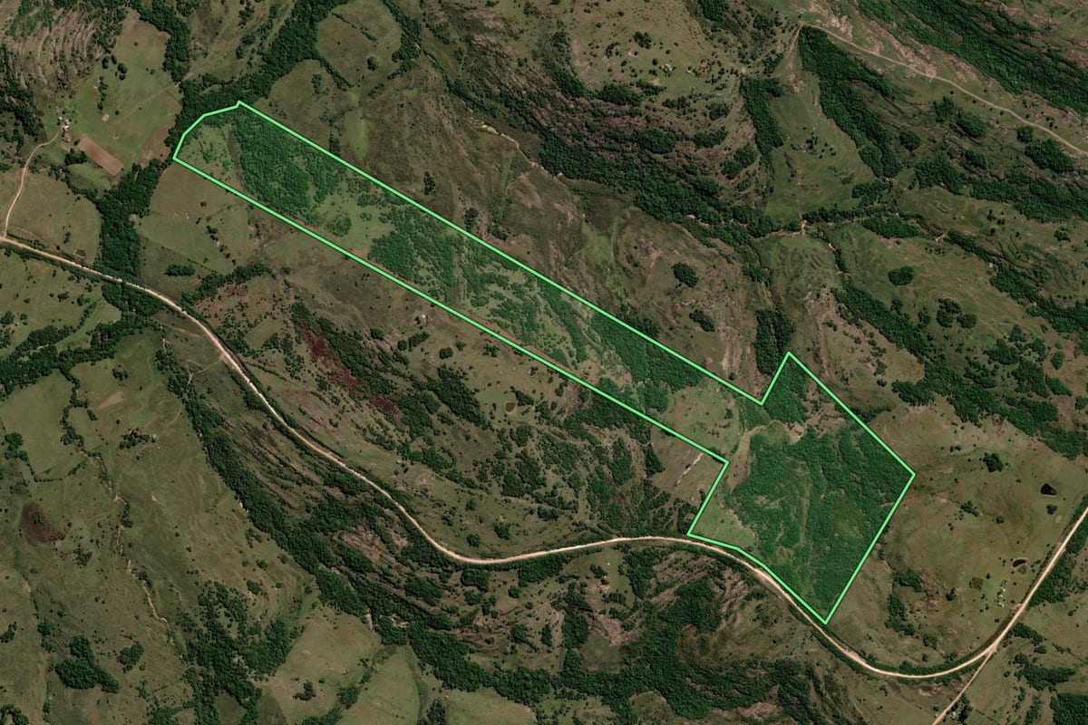 Imagem de satélite do imóvel rural em Santana da Boa Vista (RS), com o contorno declarado no CAR desenhado por cima.