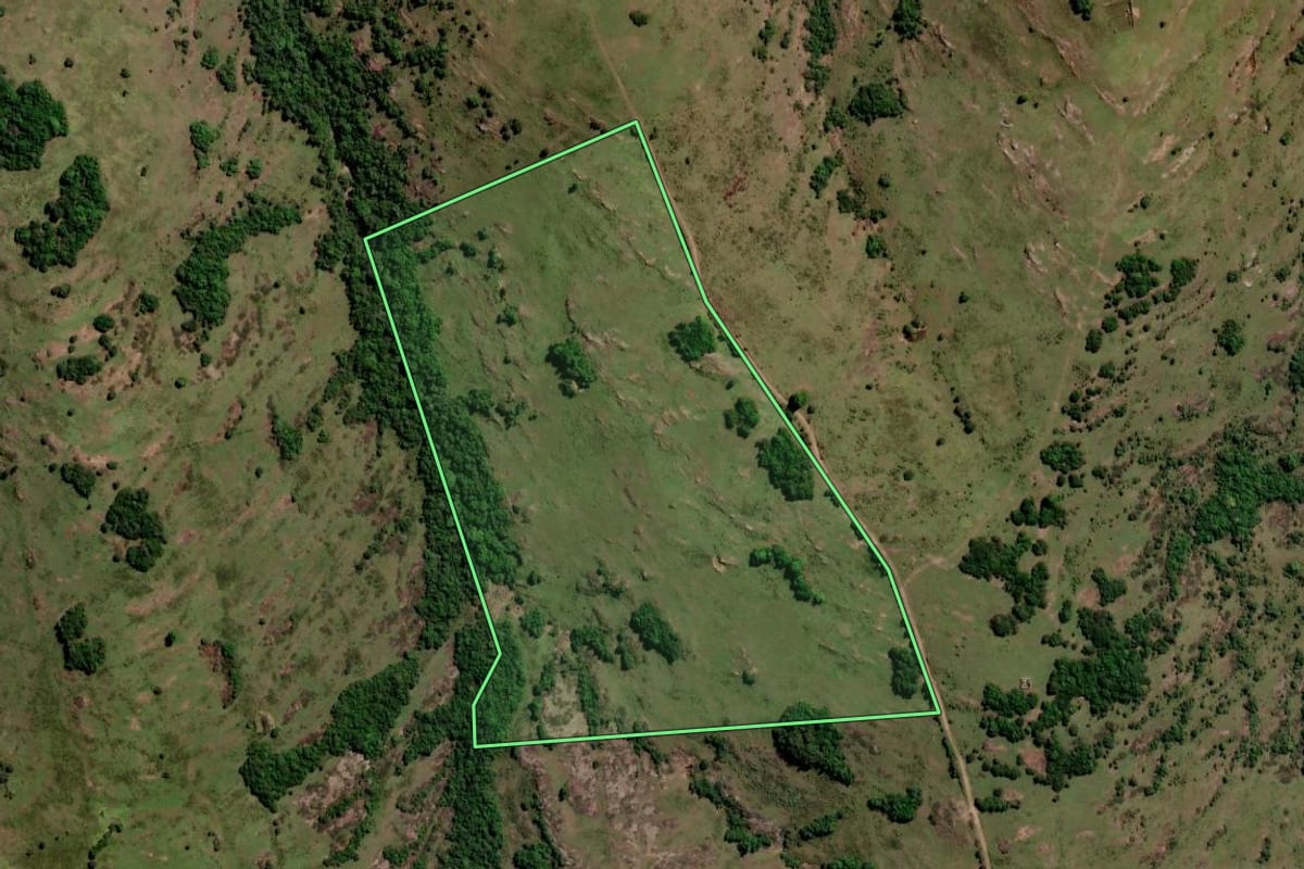 Imagem de satélite do imóvel rural em Santana da Boa Vista (RS), com o contorno declarado no CAR desenhado por cima.