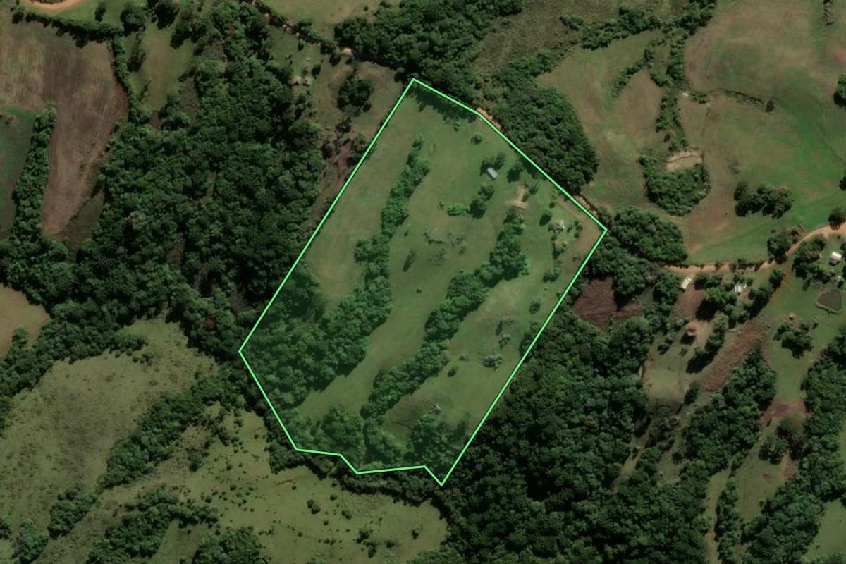 Imagem de satélite do imóvel rural em Santana da Boa Vista (RS), com o contorno declarado no CAR desenhado por cima.