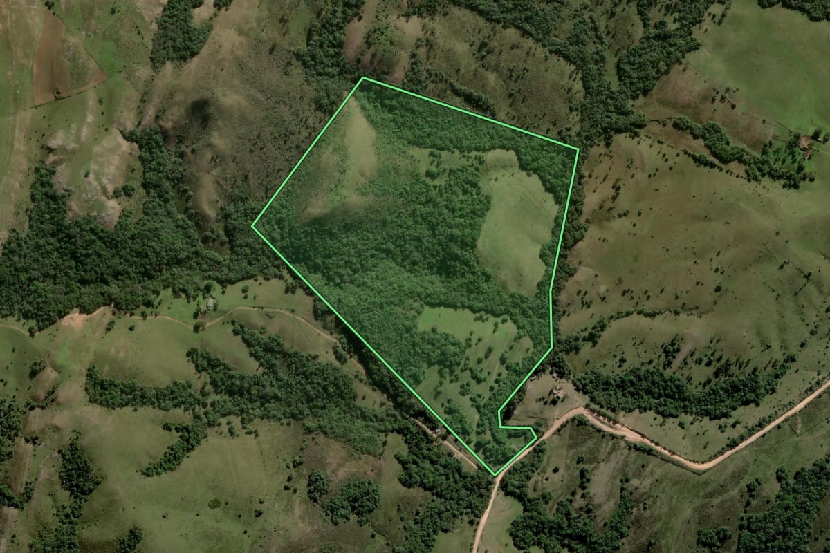 Imagem de satélite do imóvel rural em Santana da Boa Vista (RS), com o contorno declarado no CAR desenhado por cima.