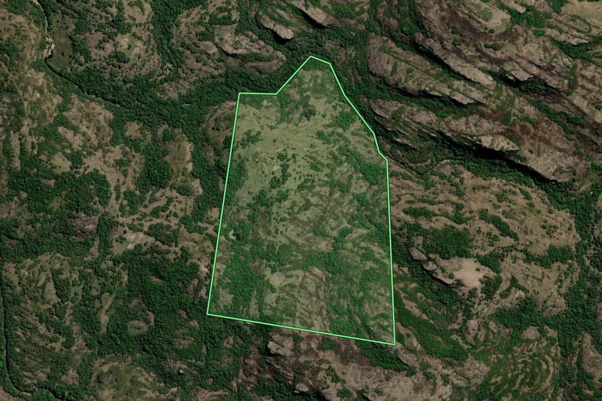 Imagem de satélite do imóvel rural em Santana da Boa Vista (RS), com o contorno declarado no CAR desenhado por cima.
