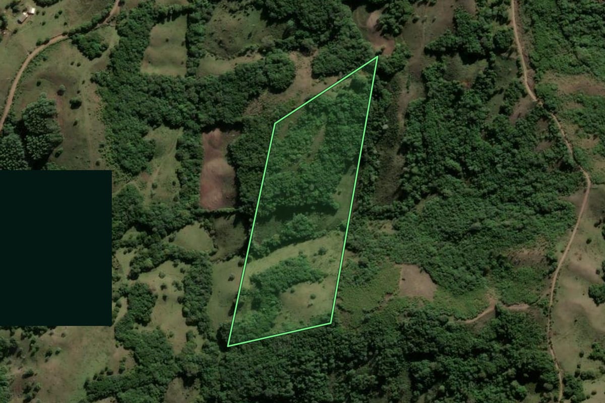 Imagem de satélite do imóvel rural em Santana da Boa Vista (RS), com o contorno declarado no CAR desenhado por cima.