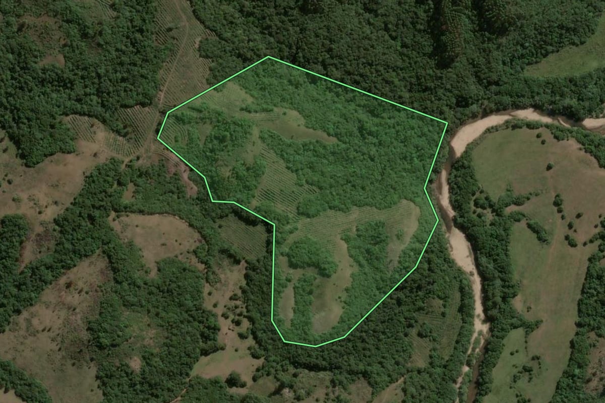 Imagem de satélite do imóvel rural em Santana da Boa Vista (RS), com o contorno declarado no CAR desenhado por cima.