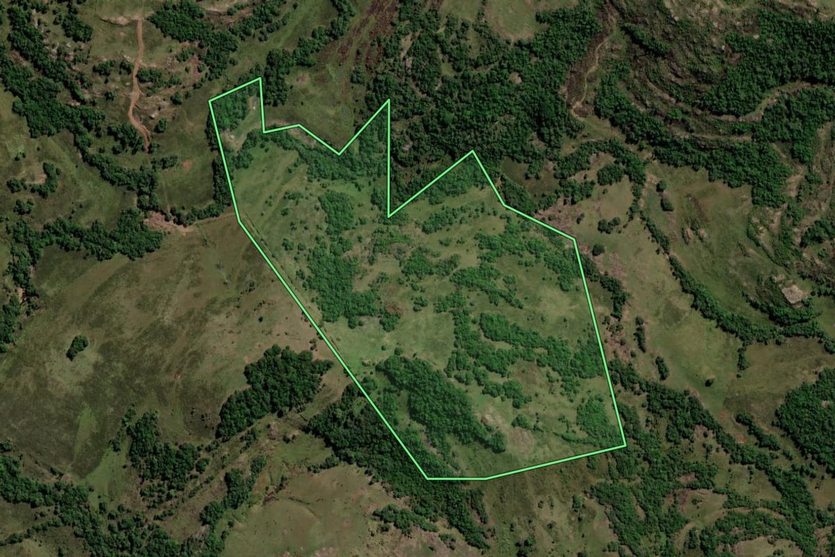 Imagem de satélite do imóvel rural em Santana da Boa Vista (RS), com o contorno declarado no CAR desenhado por cima.