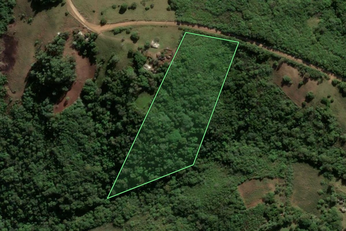 Imagem de satélite do imóvel rural em Santana da Boa Vista (RS), com o contorno declarado no CAR desenhado por cima.