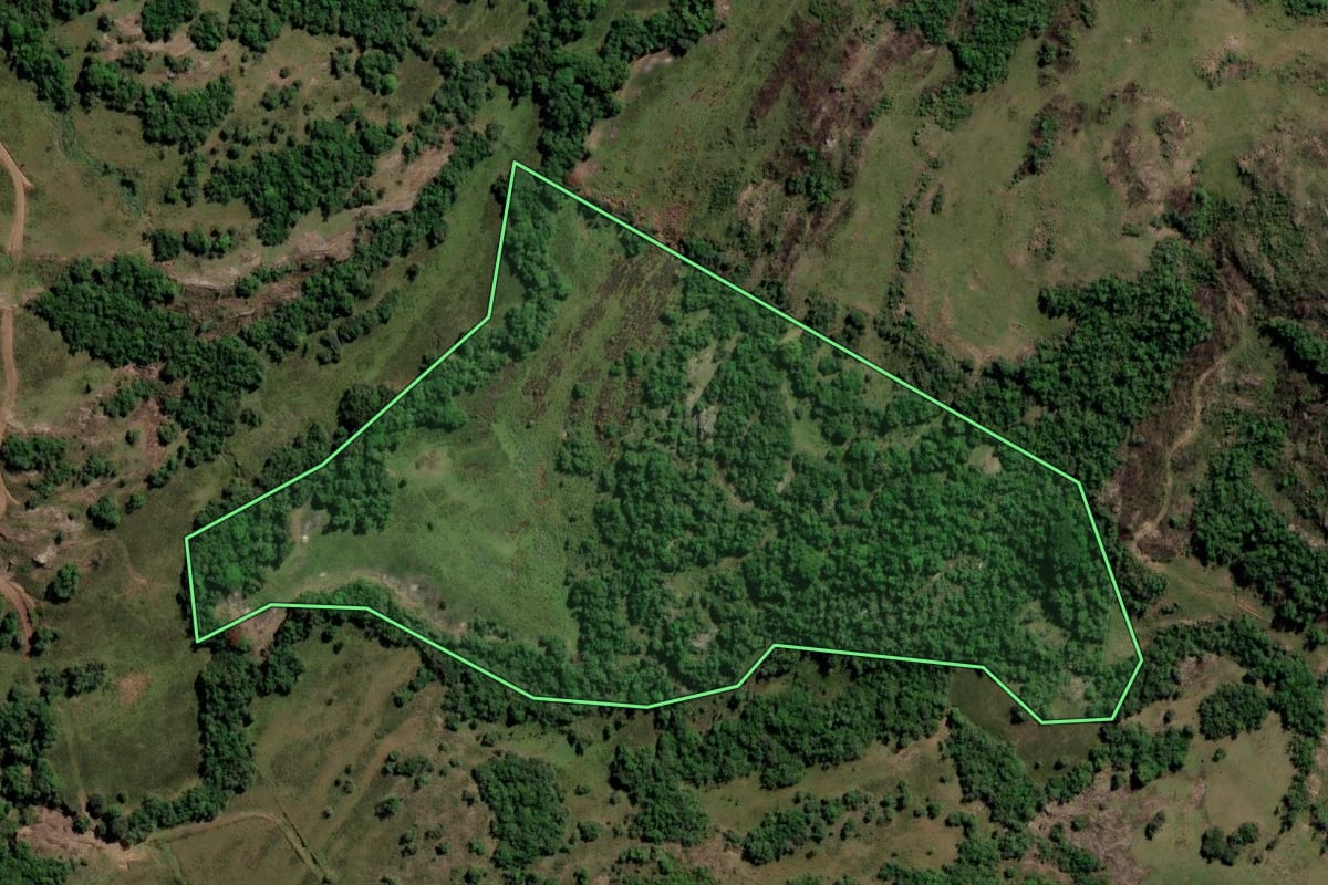 Imagem de satélite do imóvel rural em Santana da Boa Vista (RS), com o contorno declarado no CAR desenhado por cima.