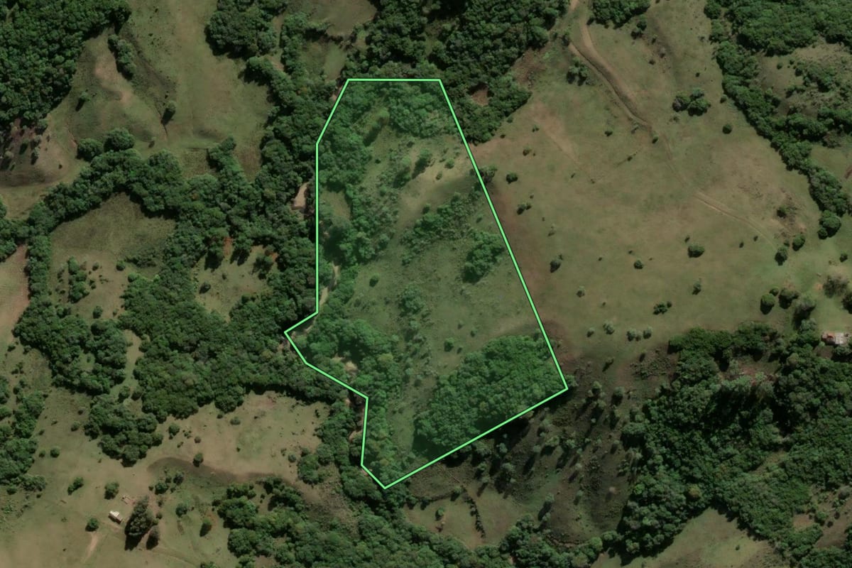 Imagem de satélite do imóvel rural em Santana da Boa Vista (RS), com o contorno declarado no CAR desenhado por cima.