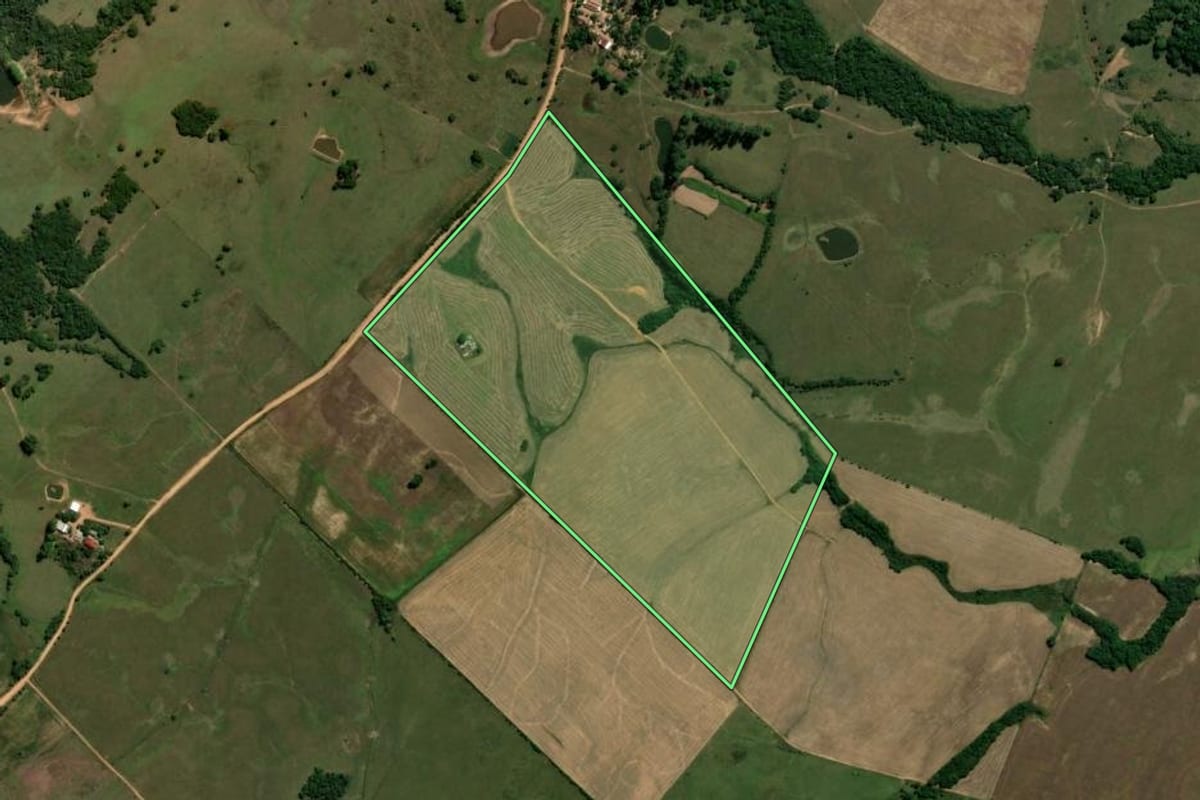 Imagem de satélite do imóvel rural em Santana da Boa Vista (RS), com o contorno declarado no CAR desenhado por cima.