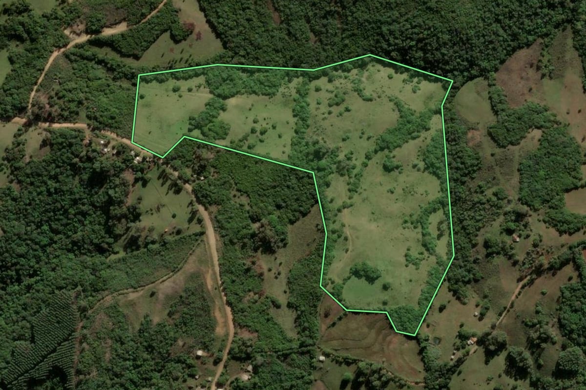 Imagem de satélite do imóvel rural em Santana da Boa Vista (RS), com o contorno declarado no CAR desenhado por cima.