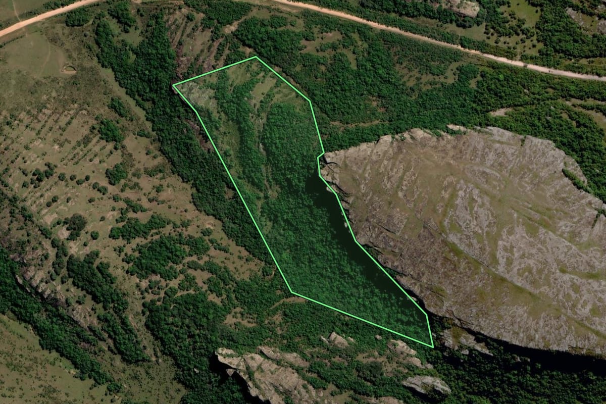 Imagem de satélite do imóvel rural em Santana da Boa Vista (RS), com o contorno declarado no CAR desenhado por cima.