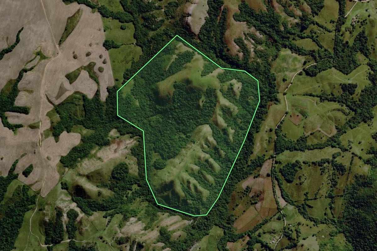 Imagem de satélite do imóvel rural em Santana da Boa Vista (RS), com o contorno declarado no CAR desenhado por cima.