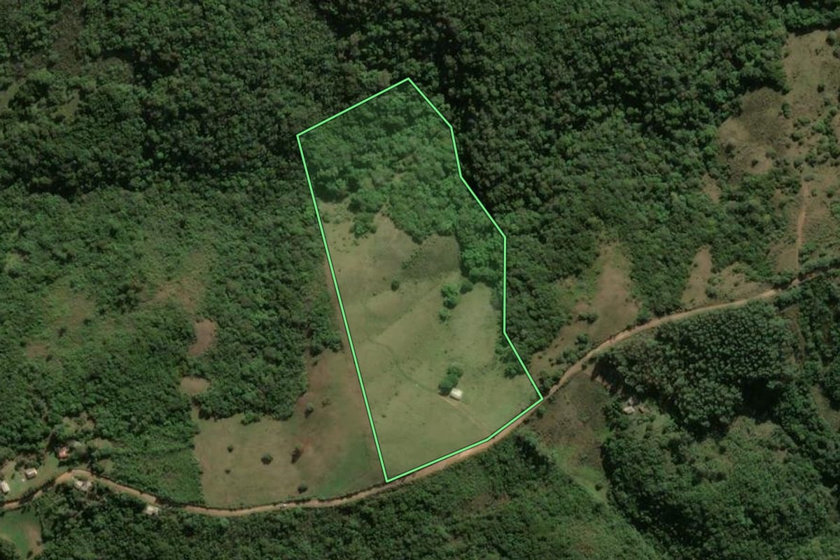 Imagem de satélite do imóvel rural em Santana da Boa Vista (RS), com o contorno declarado no CAR desenhado por cima.