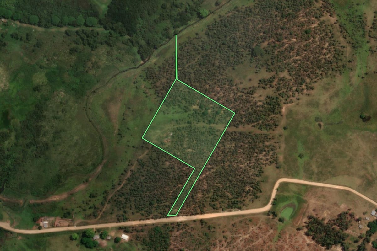 Imagem de satélite do imóvel rural em Sant'Ana do Livramento (RS), com o contorno declarado no CAR desenhado por cima.
