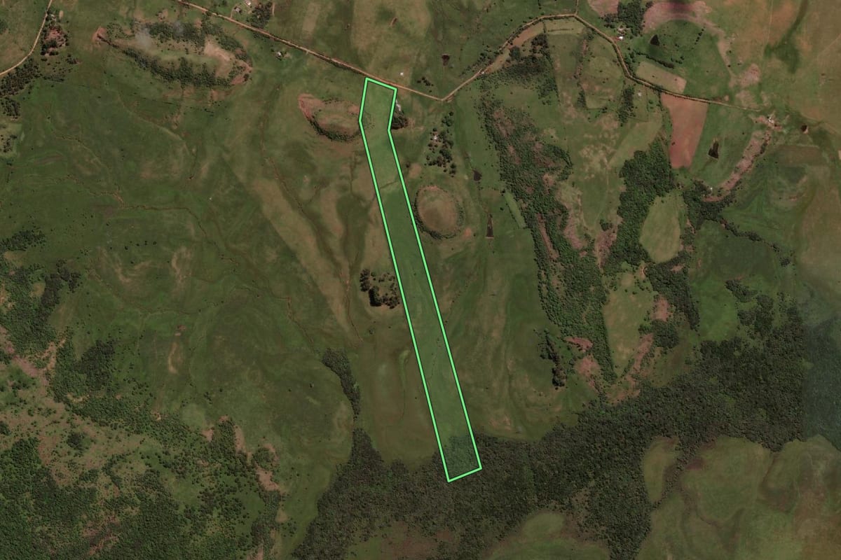 Imagem de satélite do imóvel rural em Sant'Ana do Livramento (RS), com o contorno declarado no CAR desenhado por cima.