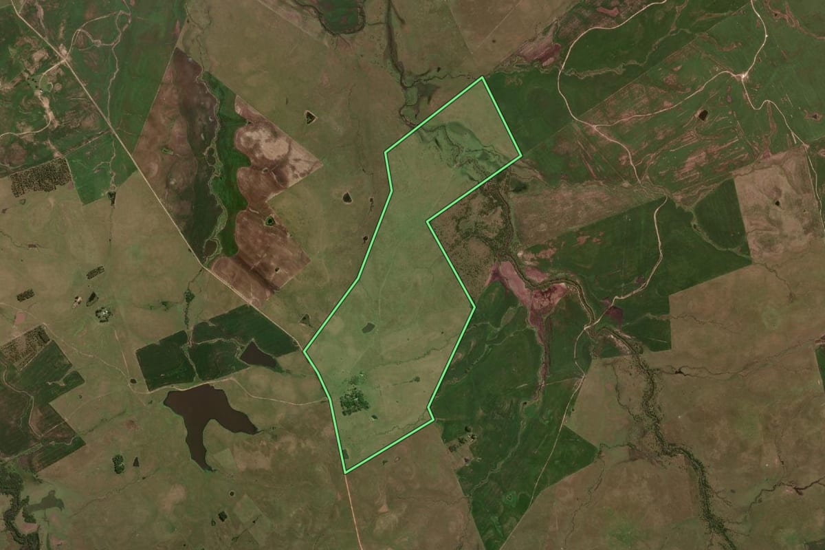 Imagem de satélite do imóvel rural em Sant'Ana do Livramento (RS), com o contorno declarado no CAR desenhado por cima.