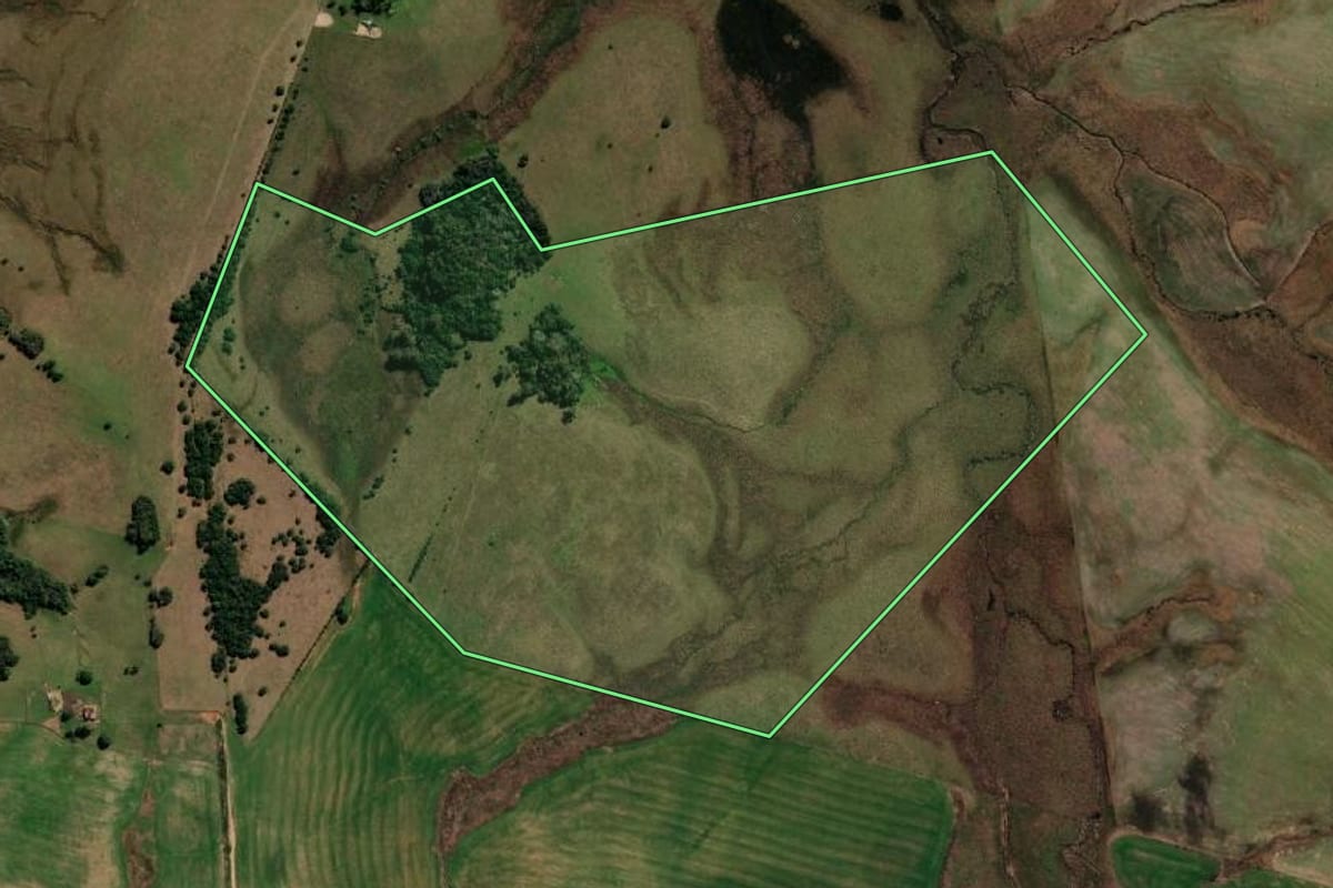 Imagem de satélite do imóvel rural em Sant'Ana do Livramento (RS), com o contorno declarado no CAR desenhado por cima.