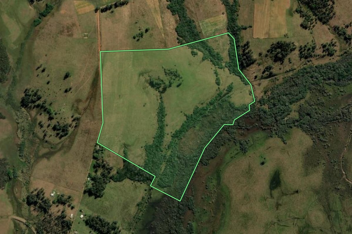 Imagem de satélite do imóvel rural em Sant'Ana do Livramento (RS), com o contorno declarado no CAR desenhado por cima.