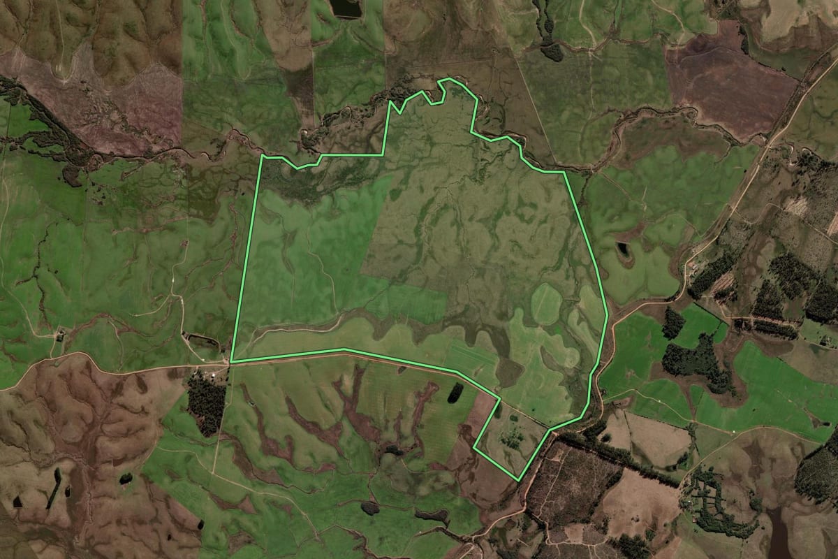 Imagem de satélite do imóvel rural em Sant'Ana do Livramento (RS), com o contorno declarado no CAR desenhado por cima.