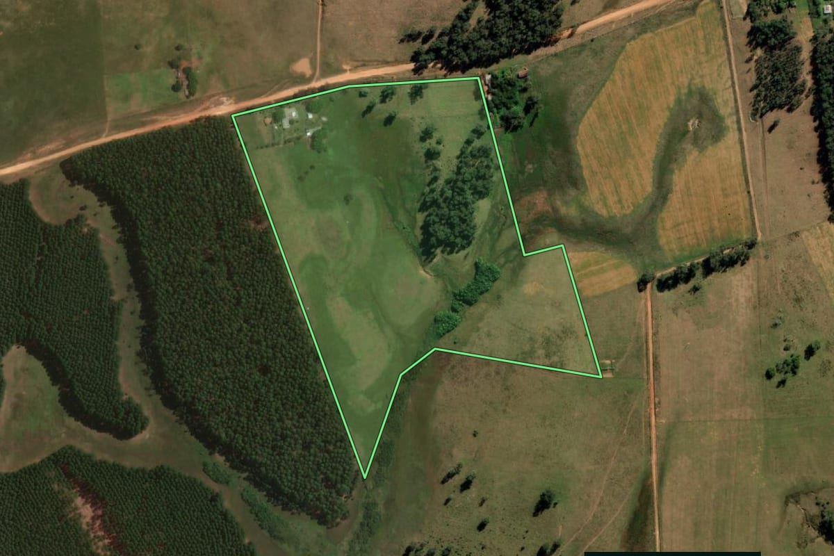 Imagem de satélite do imóvel rural em Sant'Ana do Livramento (RS), com o contorno declarado no CAR desenhado por cima.