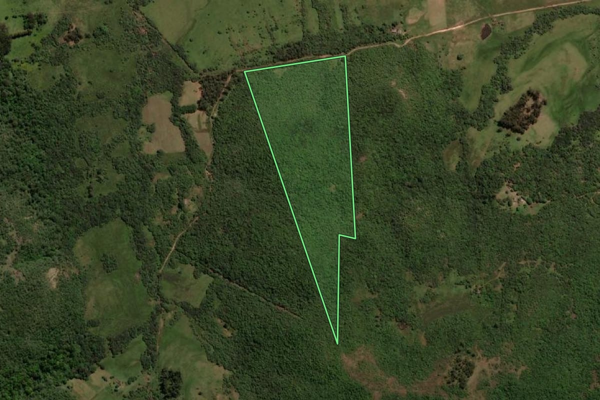 Imagem de satélite do imóvel rural em Sant'Ana do Livramento (RS), com o contorno declarado no CAR desenhado por cima.