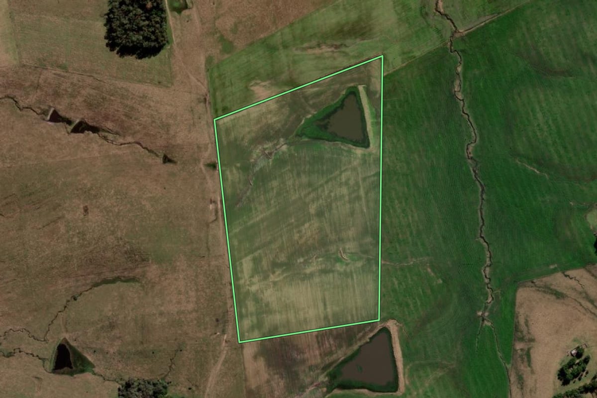 Imagem de satélite do imóvel rural em Sant'Ana do Livramento (RS), com o contorno declarado no CAR desenhado por cima.